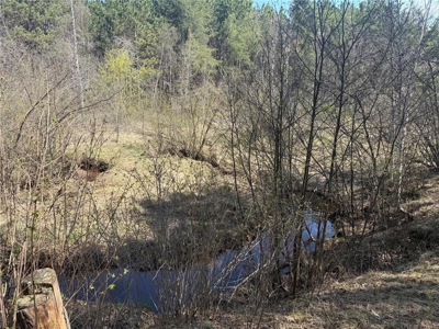 Home on 10 Wooded Acres w/ Creek For Sale in Willow River MN - image 41