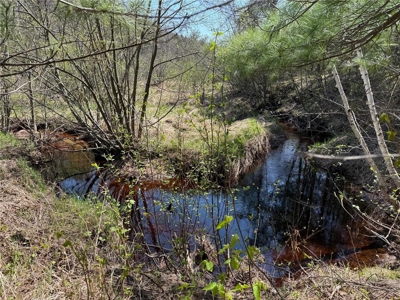 Home on 10 Wooded Acres w/ Creek For Sale in Willow River MN - image 5