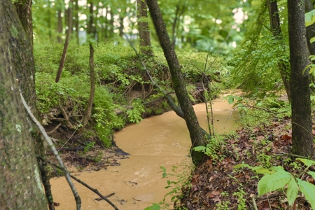 Small Acreage w/ Home and Private Lake for Sale near Paris, TN - image 17