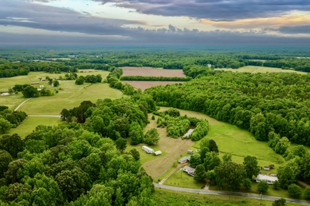 Small Acreage w/ Home and Private Lake for Sale near Paris, TN - image 14