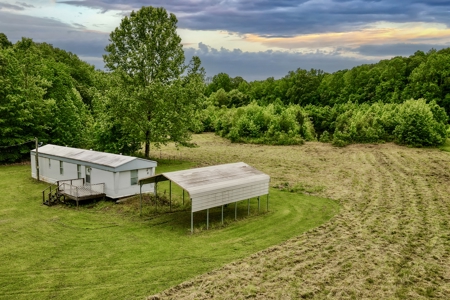 Small Acreage w/ Home and Private Lake for Sale near Paris, TN - image 4