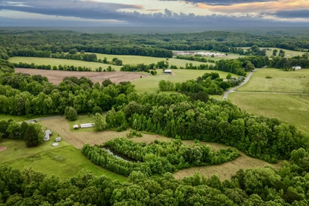 Small Acreage w/ Home and Private Lake for Sale near Paris, TN - image 12