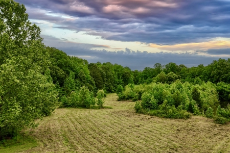 Small Acreage w/ Home and Private Lake for Sale near Paris, TN - image 5