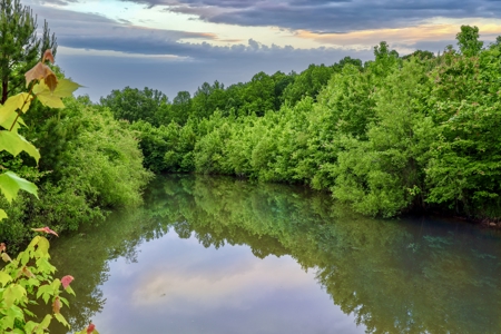 Small Acreage w/ Home and Private Lake for Sale near Paris, TN - image 10