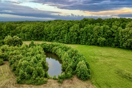 Small Acreage w/ Home and Private Lake for Sale near Paris, TN - image 9