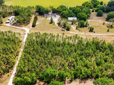 5 Acre Potential Mini Farm in Bell set on a sloped hill - image 3