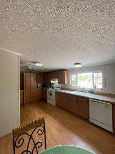 5 Acre Potential Mini Farm in Bell set on a sloped hill - image 7