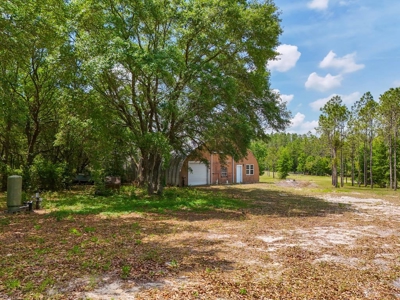 5 Acre Potential Mini Farm in Bell set on a sloped hill - image 5