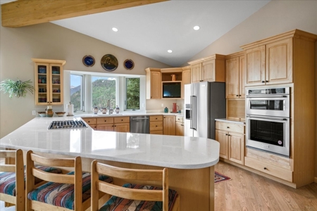 Luxury Mountain Home with 35 Acres for Sale in Ouray County, CO - image 11