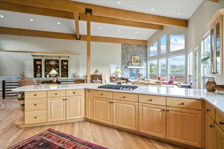 Luxury Mountain Home with 35 Acres for Sale in Ouray County, CO - image 12
