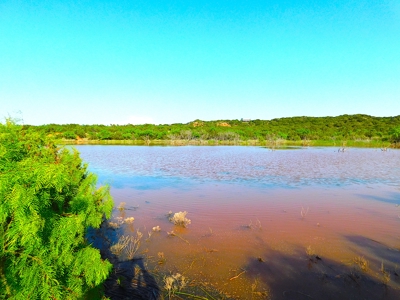 Beautiful home on 56.43 acres with a View of Abilene Tx - image 6