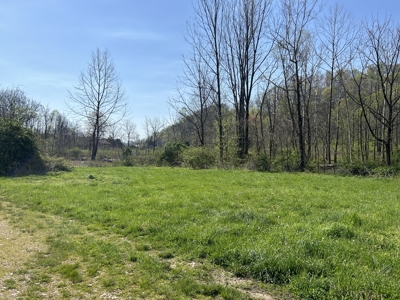 21.93+/- Acres With Mobile Home - Liberty Kentucky - image 13