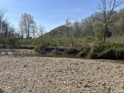 21.93+/- Acres With Mobile Home - Liberty Kentucky - image 17