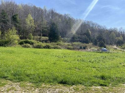21.93+/- Acres With Mobile Home - Liberty Kentucky - image 15