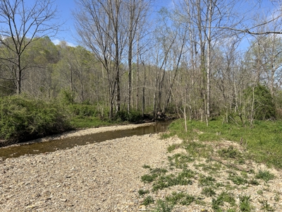 21.93+/- Acres With Mobile Home - Liberty Kentucky - image 16