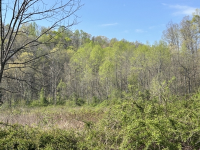 21.93+/- Acres With Mobile Home - Liberty Kentucky - image 18
