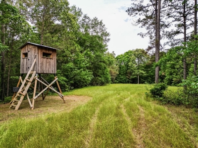 586 Hunting Land in the Catahoula Hills with Creek - image 21