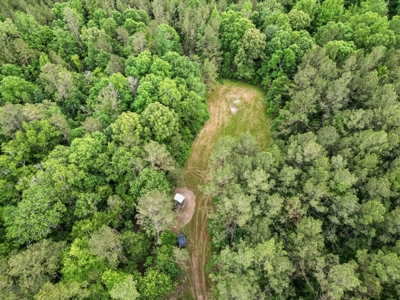 586 Hunting Land in the Catahoula Hills with Creek - image 23