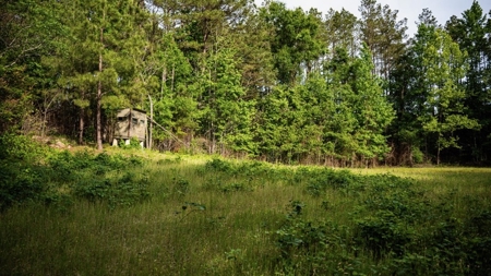 586 Hunting Land in the Catahoula Hills with Creek - image 37
