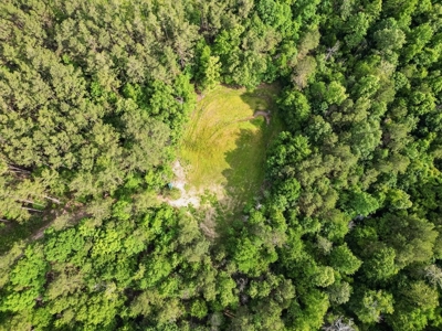 586 Hunting Land in the Catahoula Hills with Creek - image 1