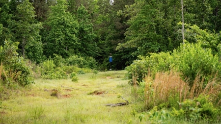 586 Hunting Land in the Catahoula Hills with Creek - image 40