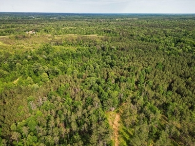 586 Hunting Land in the Catahoula Hills with Creek - image 6