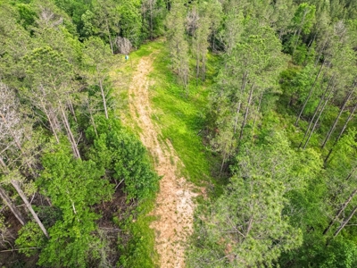 586 Hunting Land in the Catahoula Hills with Creek - image 12
