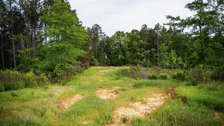 586 Hunting Land in the Catahoula Hills with Creek - image 39