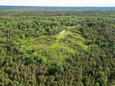 586 Hunting Land in the Catahoula Hills with Creek - image 10