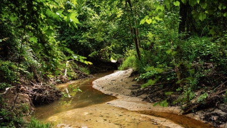 586 Hunting Land in the Catahoula Hills with Creek - image 27