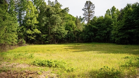 586 Hunting Land in the Catahoula Hills with Creek - image 35