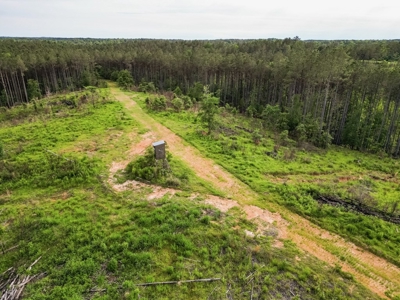 586 Hunting Land in the Catahoula Hills with Creek - image 18