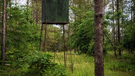 586 Hunting Land in the Catahoula Hills with Creek - image 44