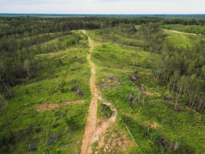 586 Hunting Land in the Catahoula Hills with Creek - image 14