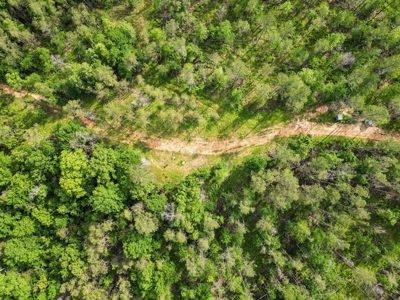 586 Hunting Land in the Catahoula Hills with Creek - image 8