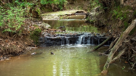 586 Hunting Land in the Catahoula Hills with Creek - image 42