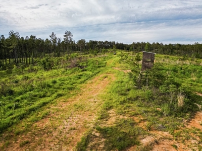 586 Hunting Land in the Catahoula Hills with Creek - image 19