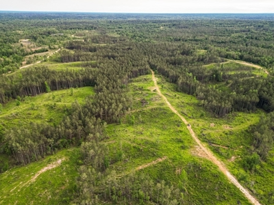 586 Hunting Land in the Catahoula Hills with Creek - image 15
