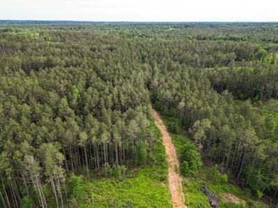 586 Hunting Land in the Catahoula Hills with Creek - image 13