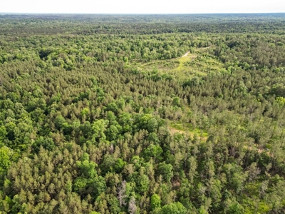 586 Hunting Land in the Catahoula Hills with Creek - image 9