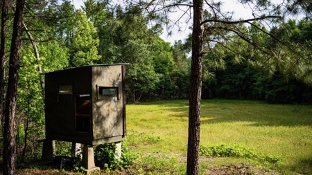 586 Hunting Land in the Catahoula Hills with Creek - image 34