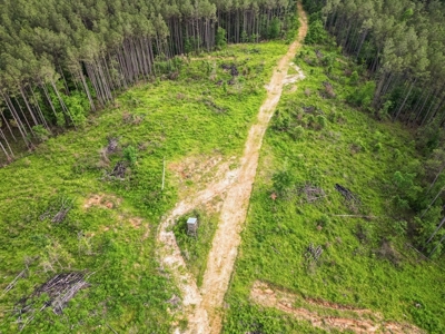 586 Hunting Land in the Catahoula Hills with Creek - image 16
