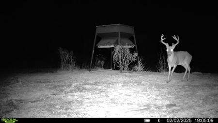 586 Hunting Land in the Catahoula Hills with Creek - image 2