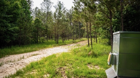 586 Hunting Land in the Catahoula Hills with Creek - image 29