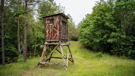 586 Hunting Land in the Catahoula Hills with Creek - image 45