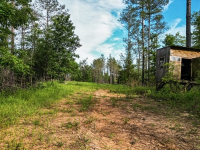 586 Hunting Land in the Catahoula Hills with Creek - image 11