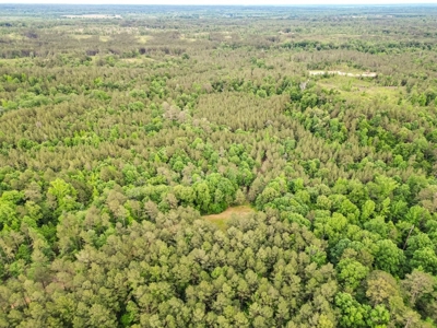 586 Hunting Land in the Catahoula Hills with Creek - image 22