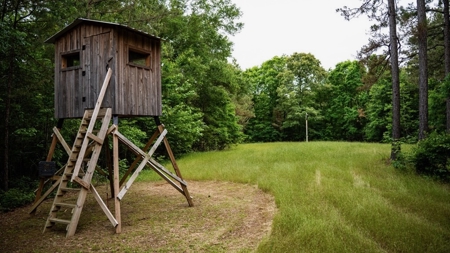 586 Hunting Land in the Catahoula Hills with Creek - image 46