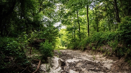 586 Hunting Land in the Catahoula Hills with Creek - image 28