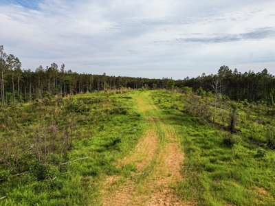 586 Hunting Land in the Catahoula Hills with Creek - image 20